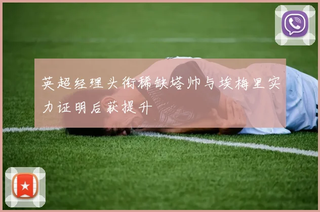 英超经理头衔稀缺塔帅与埃梅里实力证明后获提升