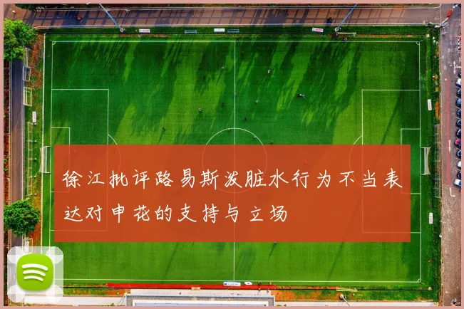 徐江批评路易斯泼脏水行为不当表达对申花的支持与立场